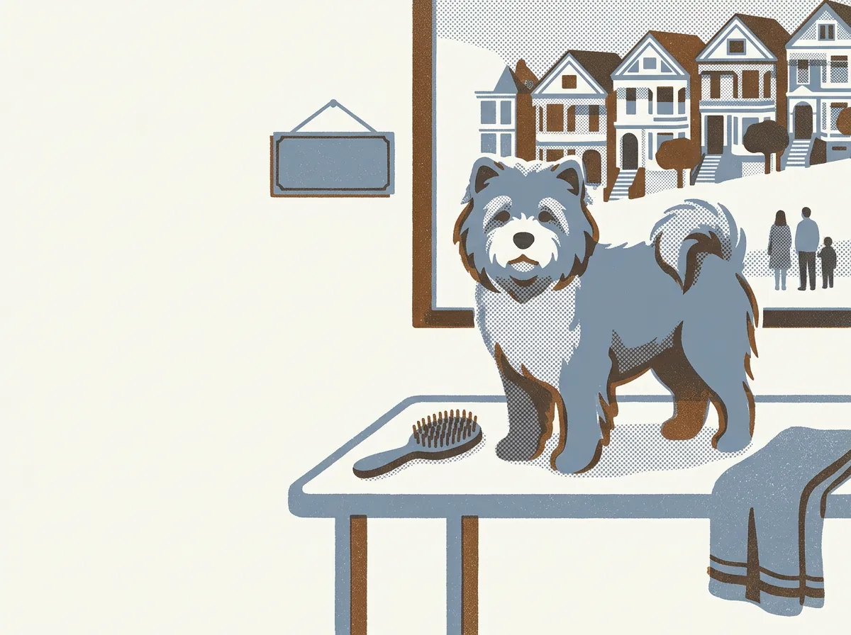 Illustration of dog groomers in Castro